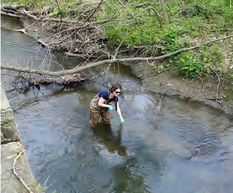 Potability Water Testing