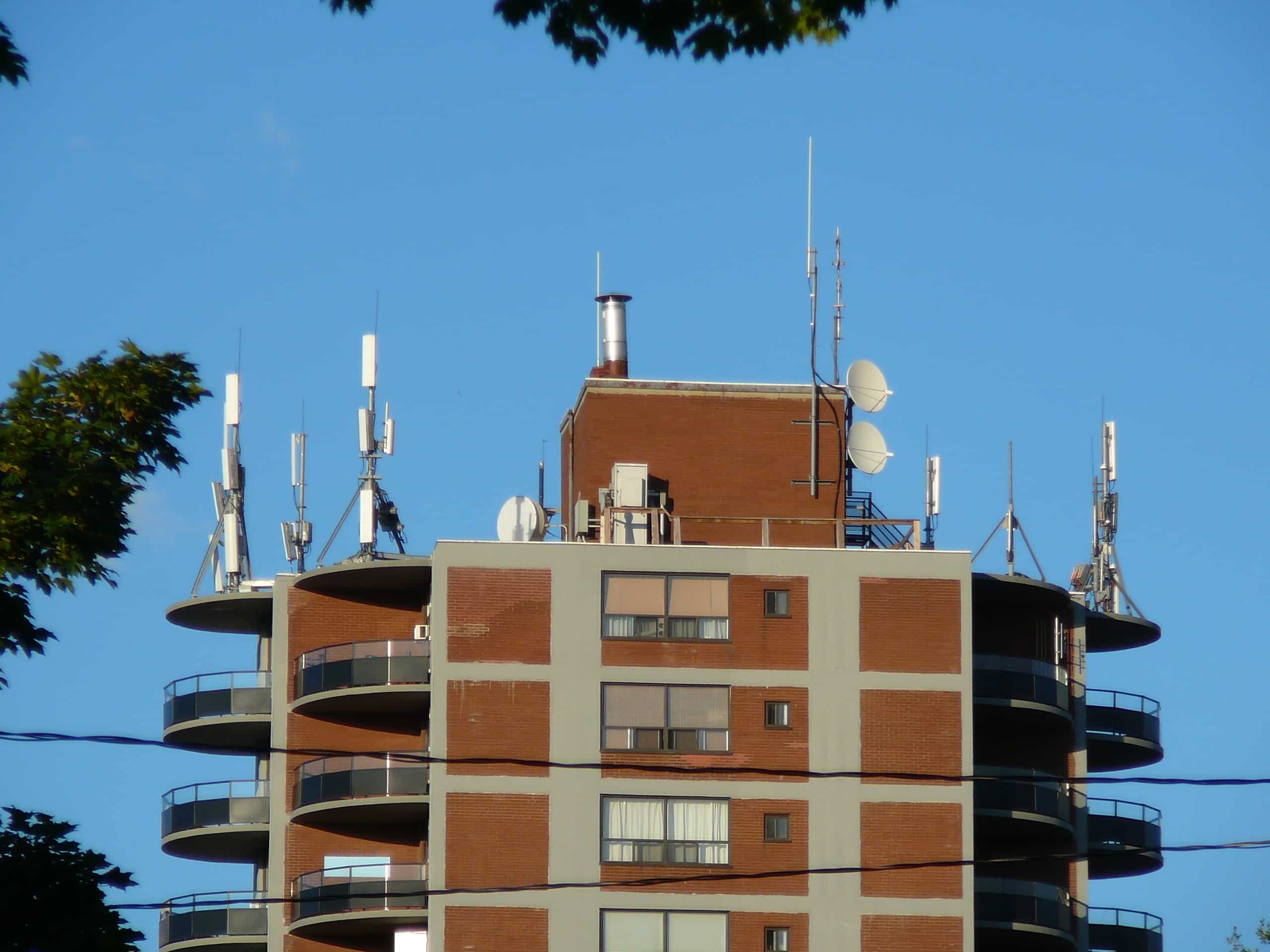 cell tower exposure testing